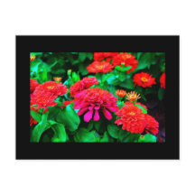Postkarte-Blume-61