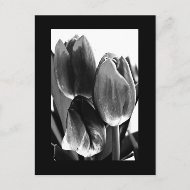 Postkarte-Blume-64 Postkarte (Vorderseite)