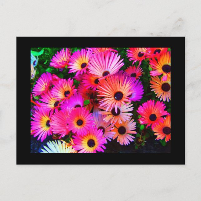 Postkarte-Blume-68 Postkarte (Vorderseite)