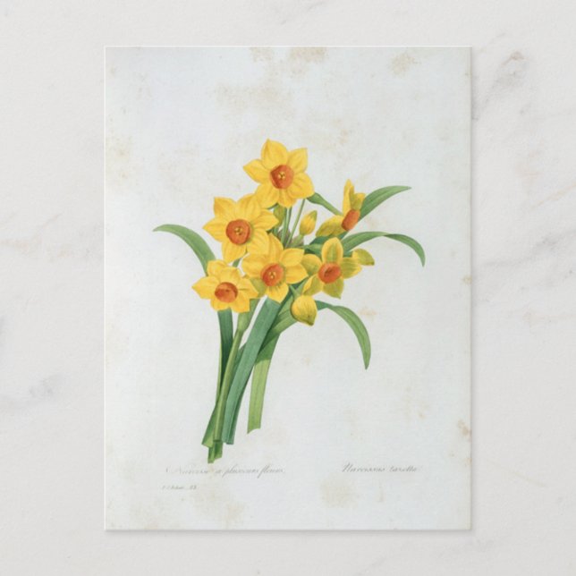 Postkarte Blumen 5 (Vorderseite)