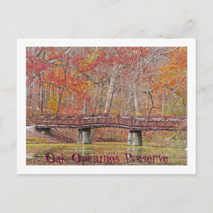 POSTKARTE/BRÜCKE AM MALLARD SEE/OAK ÖFFNUNGEN/TOLE POSTKARTE