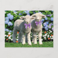 Postkarte "Bucky & Mick"