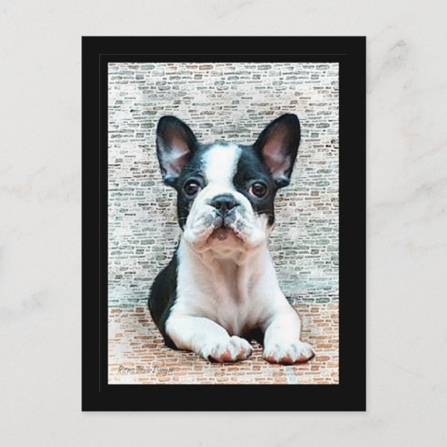 Postkarte "Bulldog" (Vorderseite)