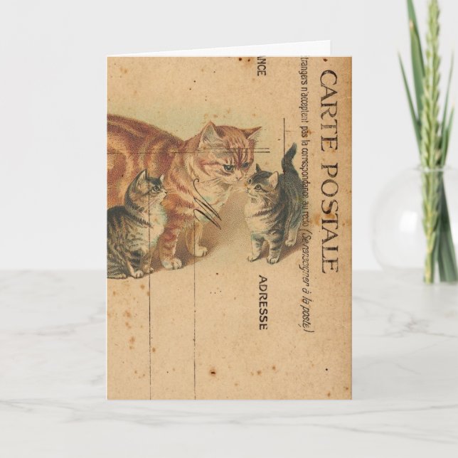 Postkarte Cats Digital Art Birthday (Vorderseite)