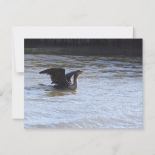 Postkarte Cormorant Bird mit Doppelkreuz