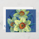 Postkarte "Daffodils - die Freuden des Frühlings" (Vorne/Hinten)