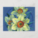 Postkarte "Daffodils - die Freuden des Frühlings" (Vorderseite)