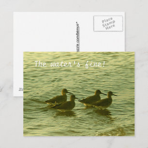 Postkarte - Das Wasser ist fein!