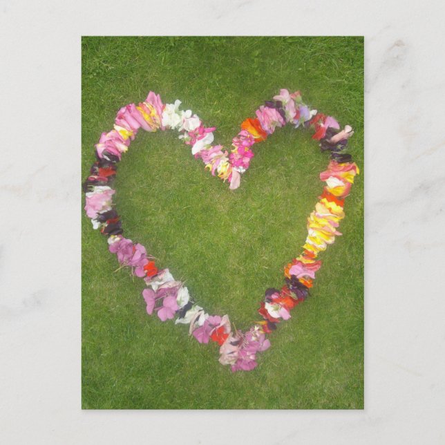 Postkarte der Blume (Vorderseite)
