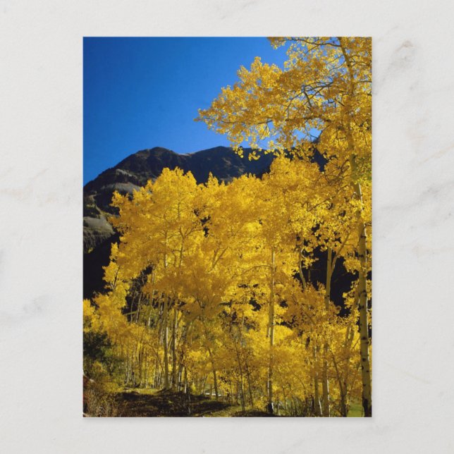 Postkarte der Nationalparks (Vorderseite)