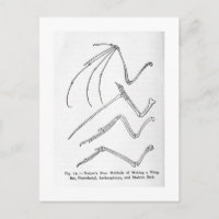 Postkarte der Natur mit vier Flügeln