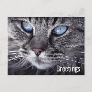 Postkarte der niedlichen Karte