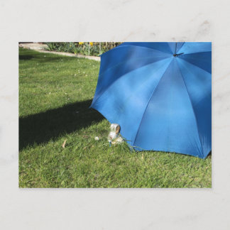 Postkarte - der Osterhase zu Besuch