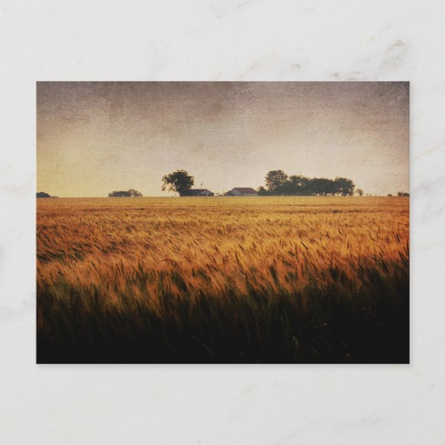 Postkarte der Texasfarm (Vorderseite)