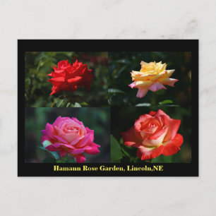 Postkarte des HRG 2014 900