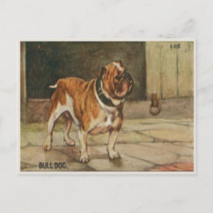 Postkarte des Hundes mit Husten Bull Dog