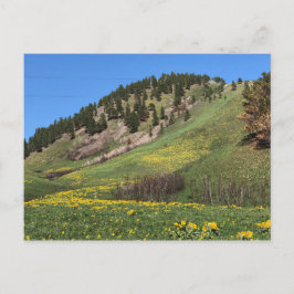 Postkarte des Mount Otis