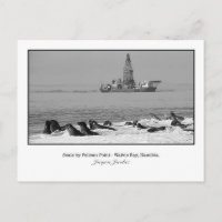 Postkarte des Siegels Kolonie