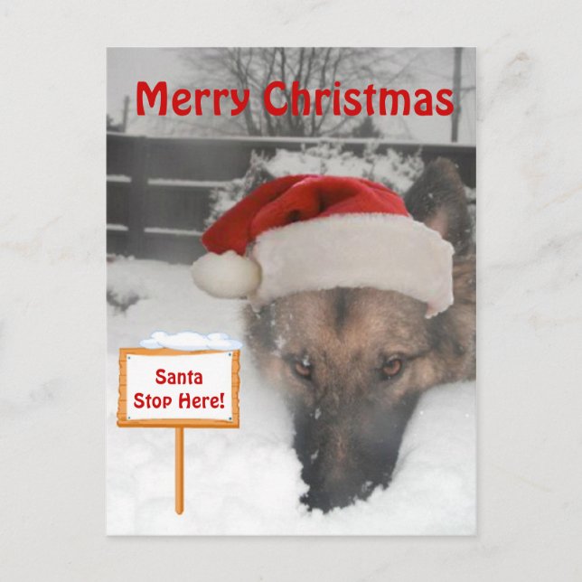 Postkarte Deutscher Hirte Santa Stopp hier Untersc (Vorderseite)