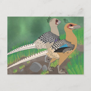 Postkarte Dinosaur - Acheroraptor