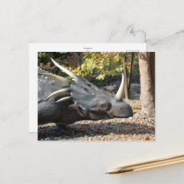 Postkarte _ Dinosaurier _ Triceratops