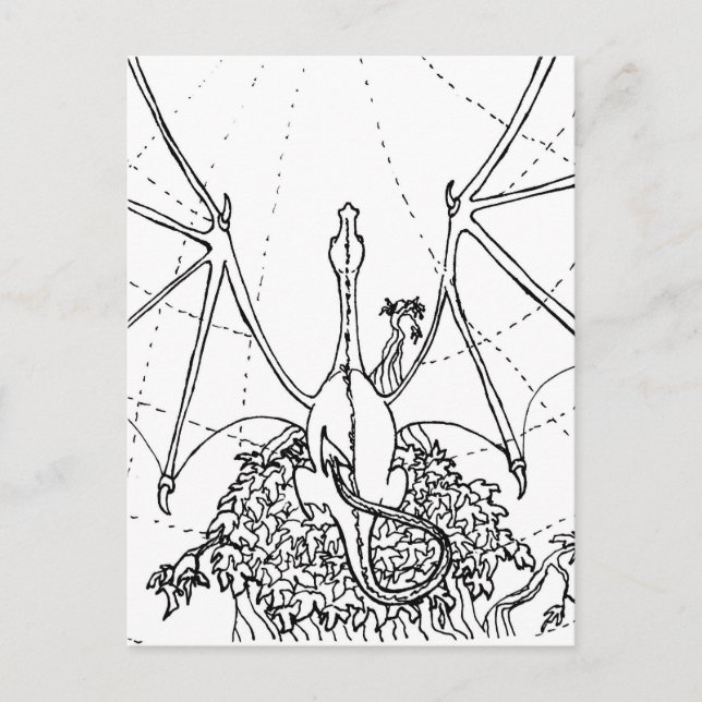 Postkarte - Drachenflügel (Vorderseite)