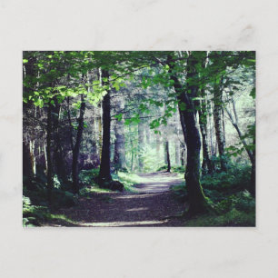 Postkarte eines Waldwegs in Schottland