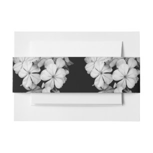 Postkarte Einladungsbanderole