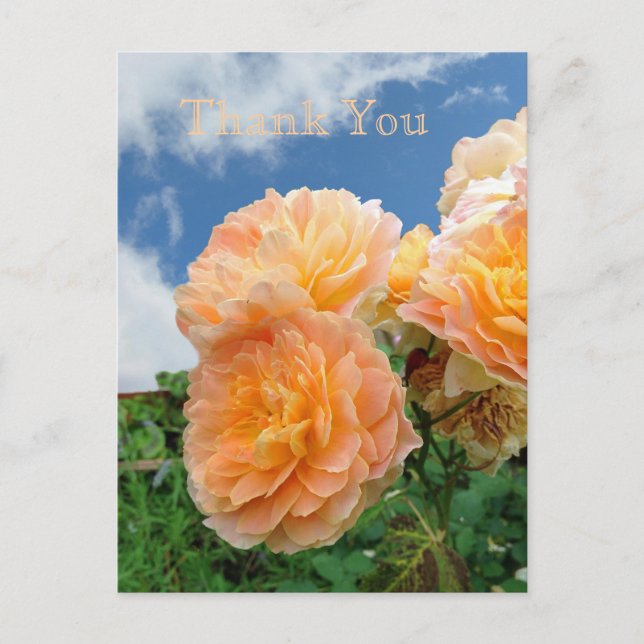 Postkarte Englisch Garden (Vorderseite)