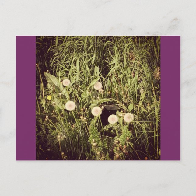 Postkarte erstellen (Vorderseite)