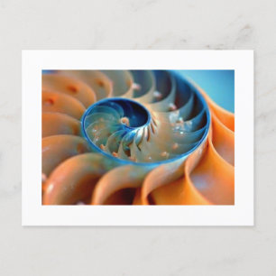 Postkarte - Fibonacci-Schalen