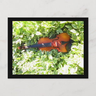 Postkarte Fiddle and Ivous Violin Postkarte