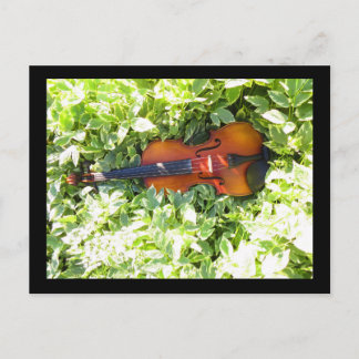 Postkarte Fiddle and Ivous Violin Postkarte