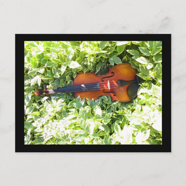 Postkarte Fiddle and Ivous Violin Postkarte (Vorderseite)