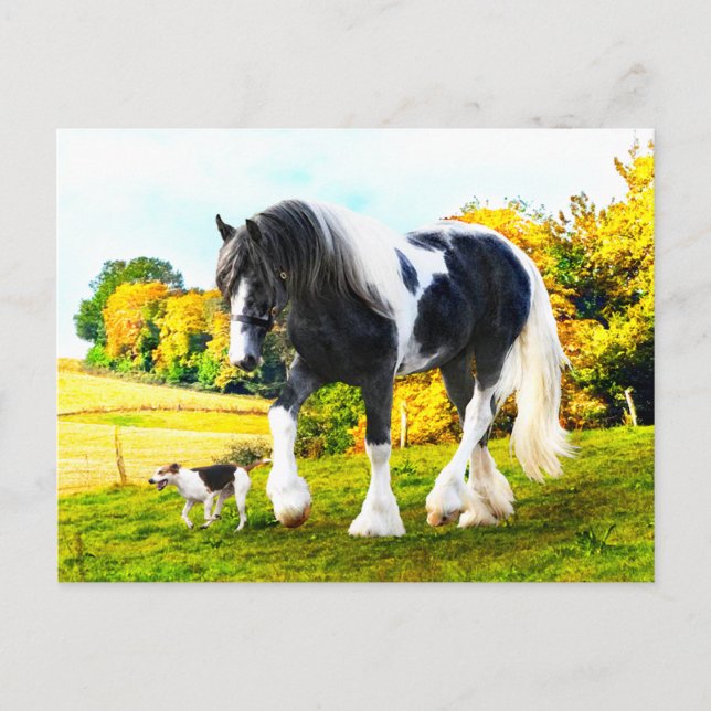 Postkarte "Frankie & Tessa" (Vorderseite)