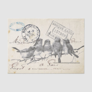 Postkarte Französische Singvögel auf einem Ast Seidenpapier