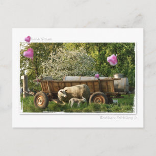Postkarte: Frühling Postkarte