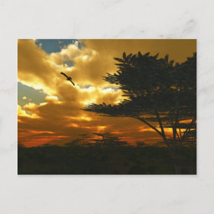 Postkarte für afrikanische Flugzeuge