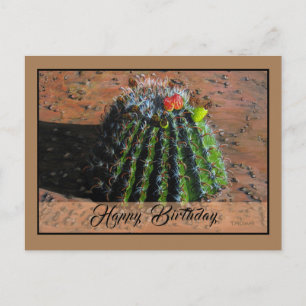Postkarte für Barrel Cactus - Optionale Personalis