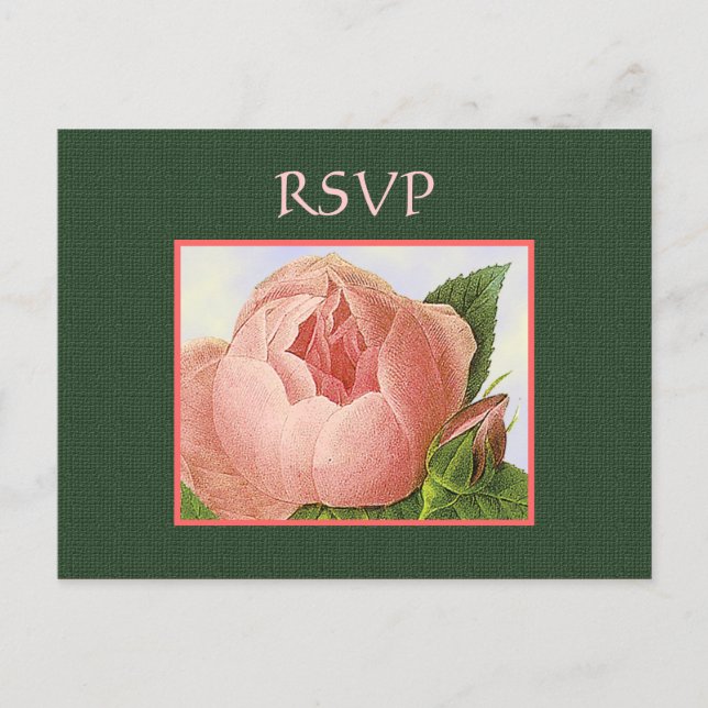 Postkarte für Botanische Rosen, UAWG (Vorderseite)