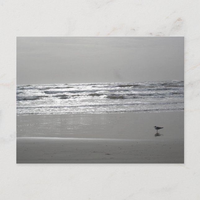 Postkarte für das Abhören (Vorderseite)