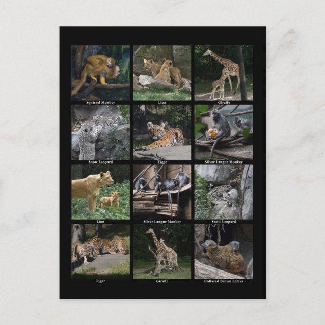 Postkarte für das Baby (Vorderseite)