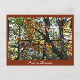 Postkarte für das Herbst-Foto