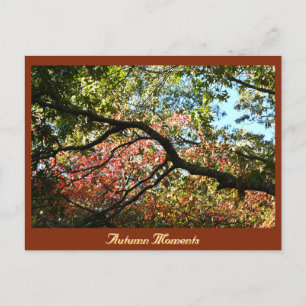 Postkarte für das Herbst-Foto