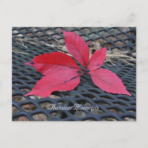 Postkarte für das Herbst-Foto