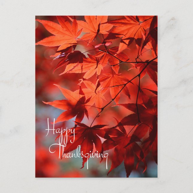 Postkarte für den Erntedank / Rote Herbstuntergäng (Vorderseite)