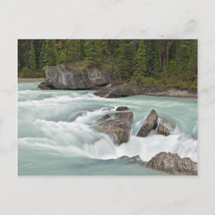Postkarte für den kanadischen Fluss