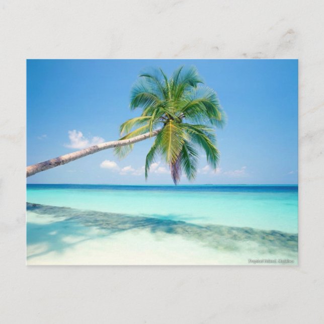 Postkarte für den karibischen Strand (Vorderseite)