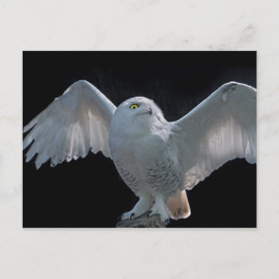Postkarte für den Karo vor dem Flug