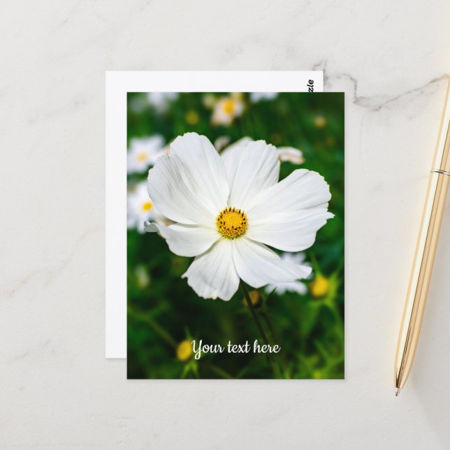Postkarte für den weißen Kosmos (Vorderseite/Rückseite Beispiel)